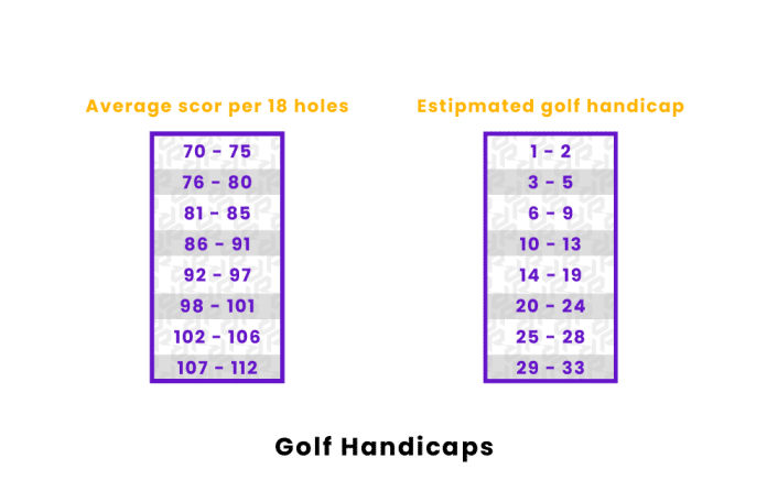 whats the purpose of handicaps in golf 2