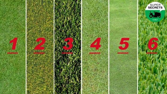 what bounce and sole width is best for different turf conditions